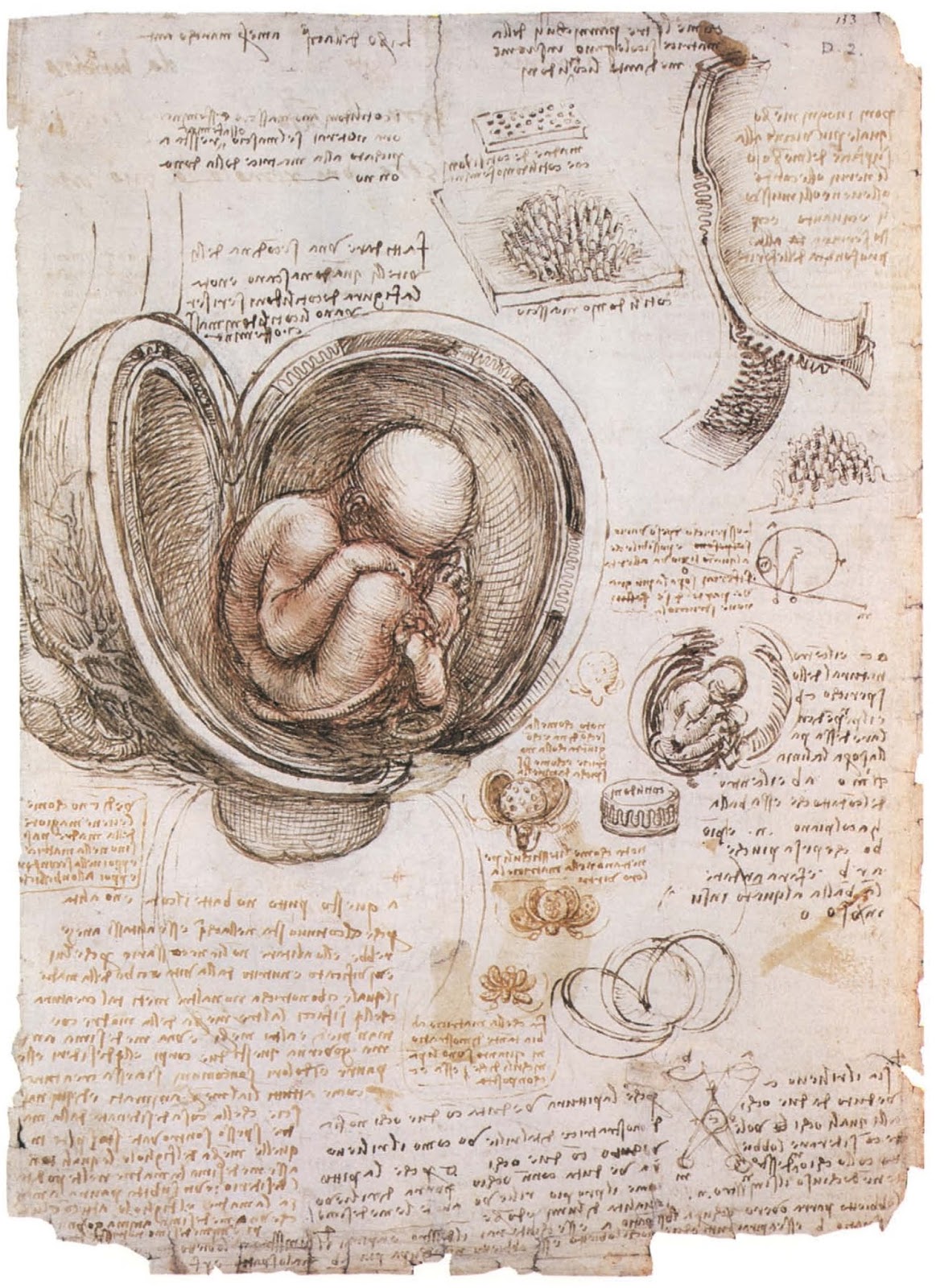Leonardo+da+Vinci-1452-1519 (738).jpg